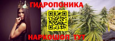 гашишное масло Новодвинск