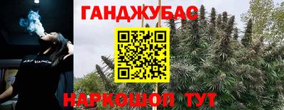 гидропоника Новозыбков