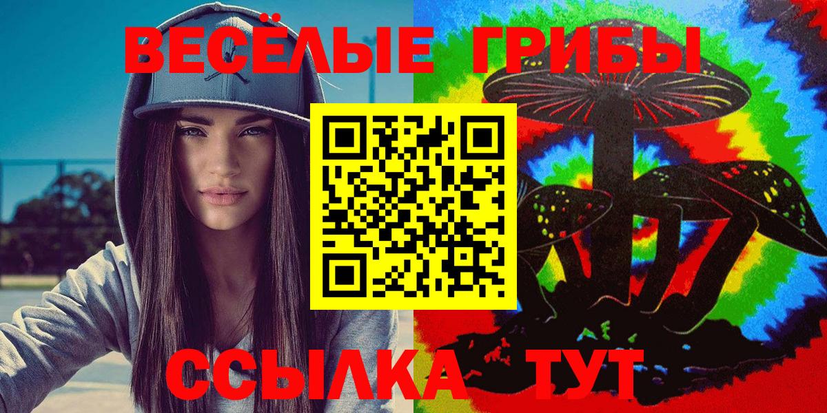 Псилоцибиновые грибы Psilocybe  Вход с VPN  Шадринск 